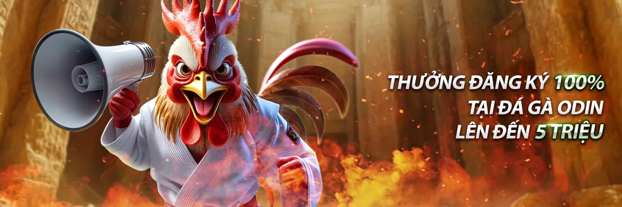 Hình ảnh chính Blog Vabet với các tin tức cá cược và casino trực tuyến